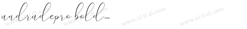 andradepro bold字体转换